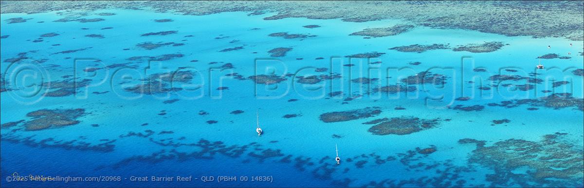 Peter Bellingham Photography Great Barrier Reef - QLD (PBH4 00 14836)